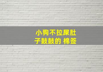 小狗不拉屎肚子鼓鼓的 棉签